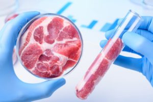 Carne in laboratorio